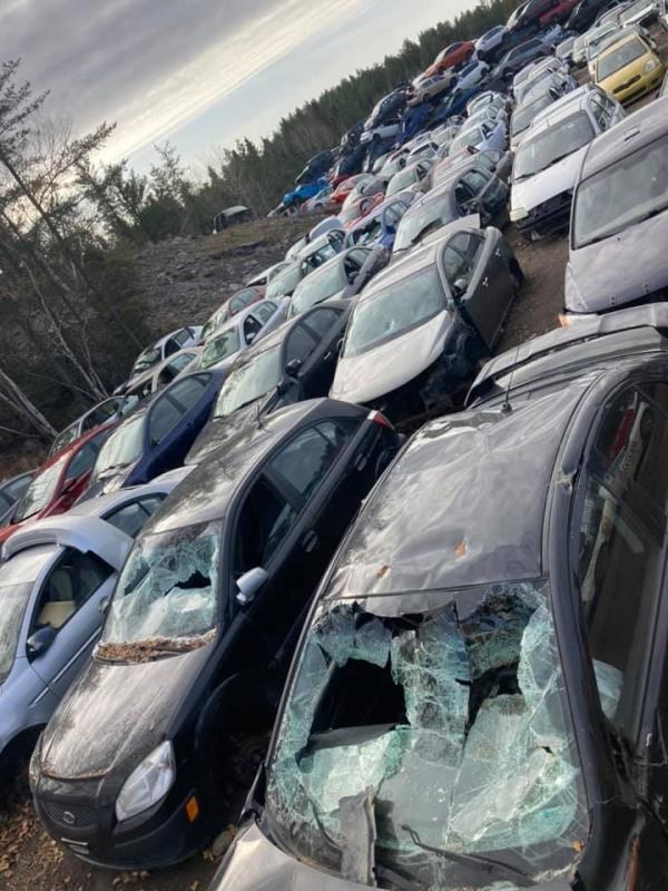 Achat d'autos pour la scrap (7)